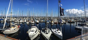 SAIL AWAY!